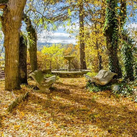 La Fioraia E La Legnaia