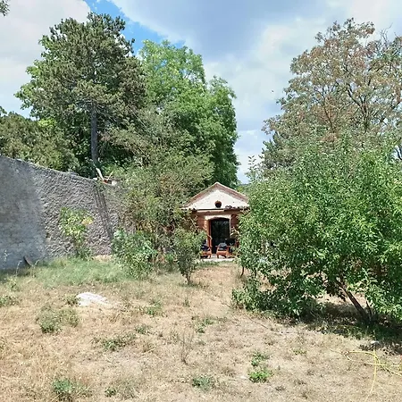 La Fioraia E La Legnaia *