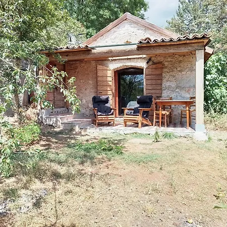 La Fioraia E La Legnaia