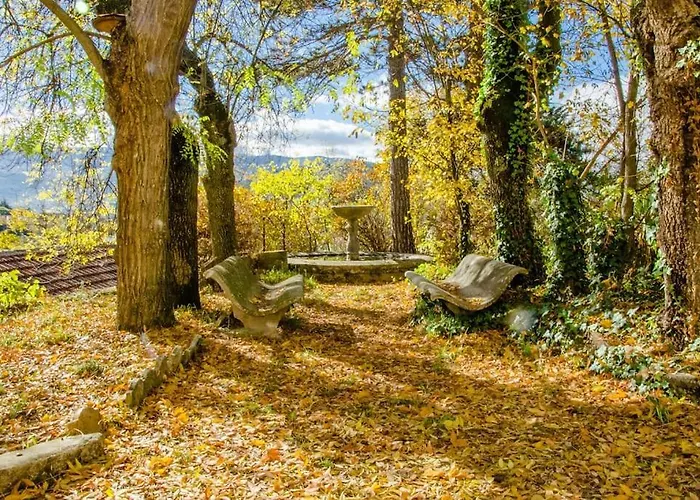 La Fioraia E La Legnaia