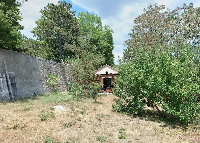 La Fioraia E La Legnaia *