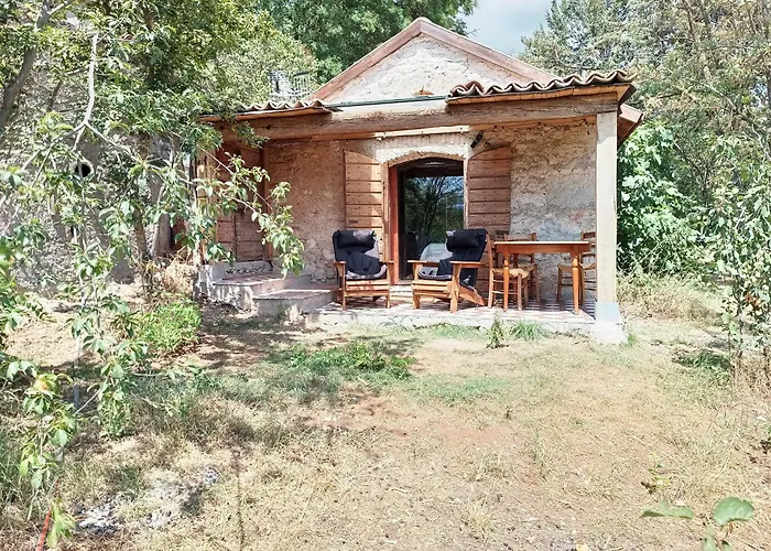 La Fioraia E La Legnaia